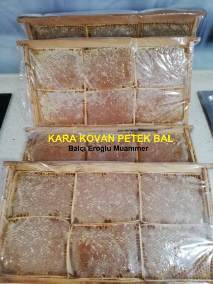 Kara Kovan Petek Bal balcieroglu.com