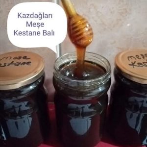 MEŞE KESTANE BALI KAZ DAĞLARI'NDAN