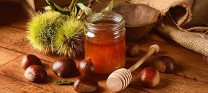 Kestane Balı Nedir? Faydaları Nelerdir?